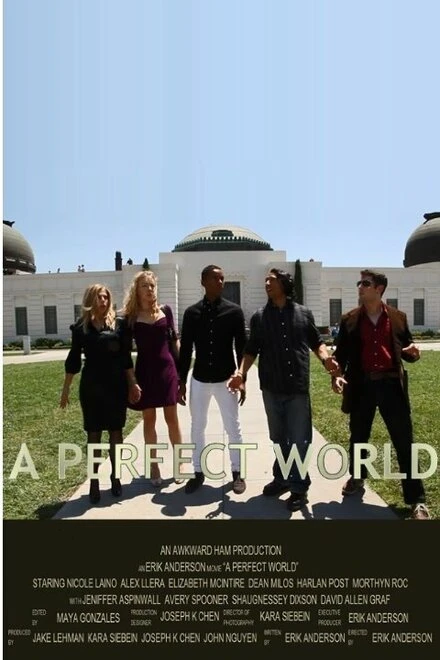 Постер A Perfect World