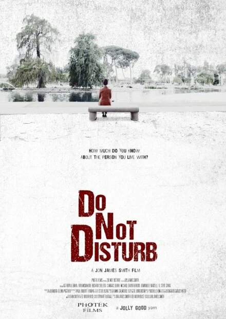 Постер Do Not Disturb 2015