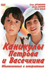 Каникулы Петрова и Васечкина, обыкновенные и невероятные 1984 постер