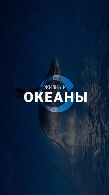 Постер Жизнь и Океаны, документальный