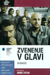 Zvenenje v glavi постер