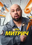 Митрич постер