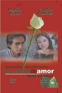 Постер Доказательства любви 1994