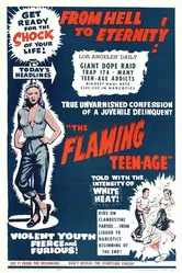 The Flaming Teenage постер