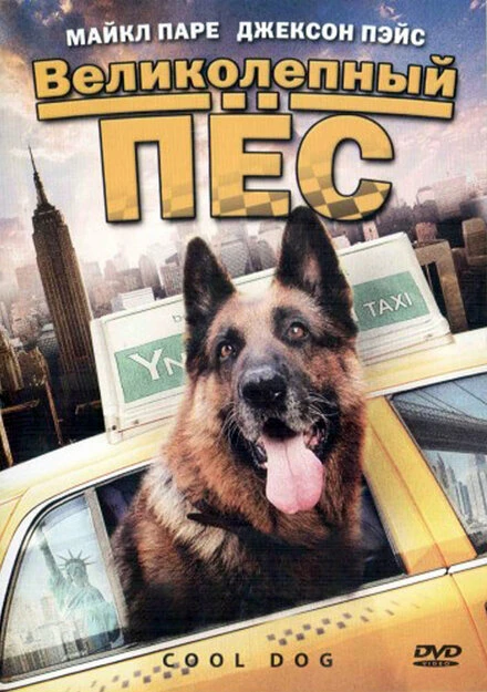 Постер Великолепный пес 2010