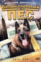 Великолепный пес 2010 постер