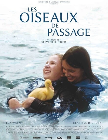 Постер Les oiseaux de passage 2015