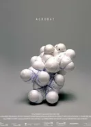 Acrobat 2012 постер