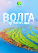 Волга: Дельта жизни постер