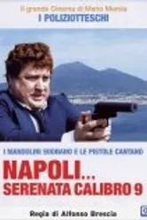 Неаполитанская серенада девятого калибра 1978 постер