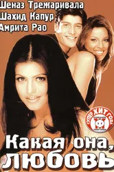 Какая она, любовь 2003 постер