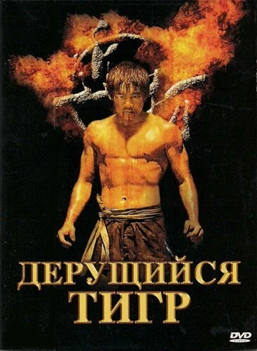 Постер Дерущийся тигр 2008