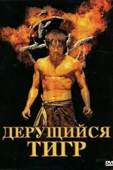 Дерущийся тигр 2008 постер