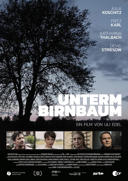 Постер Unterm Birnbaum