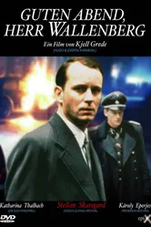 Добрый вечер, господин Валленберг 1990 постер