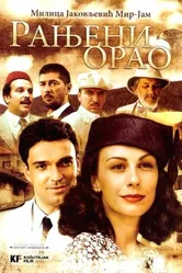 Раненый орёл 2008 постер