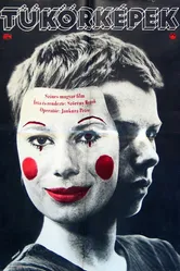 Зеркальные отражения 1976 постер