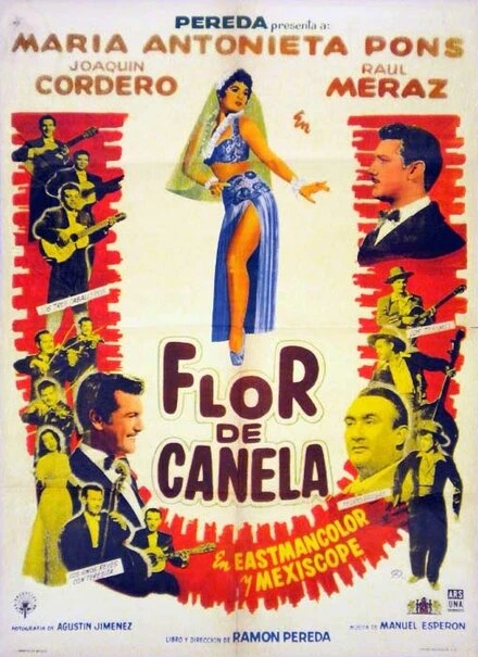 Постер Flor de canela