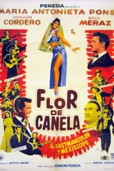 Flor de canela постер