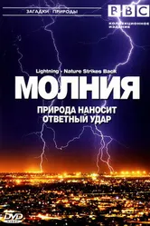 BBC: Молния. Природа наносит ответный удар 2004 постер