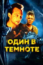 Один в темноте 2004 постер