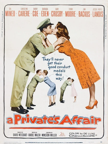 Постер Частная афера 1959