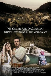 Постер What's Love Doing in the Mountains?