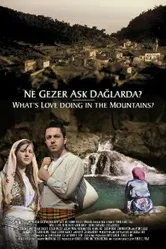 What's Love Doing in the Mountains? постер