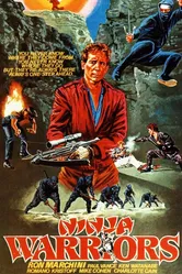 Воины ниндзя 1985 постер