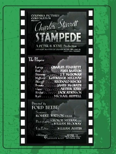 Постер Stampede