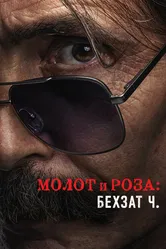 Молот и роза: Бехзат Ч. 2022 постер