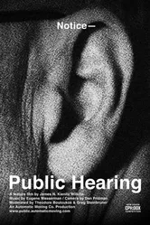 Public Hearing постер