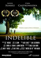 Indelible 2014 постер