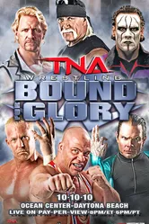 TNA Предел для славы 2010 постер