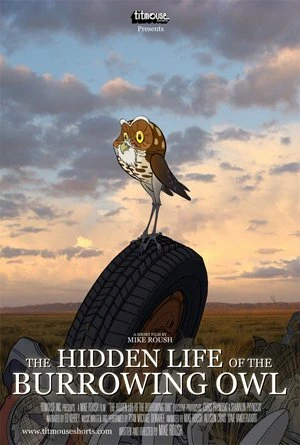 Постер The Hidden Life of the Burrowing Owl