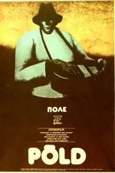Поле 1978 постер