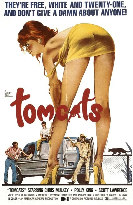 Постер Tomcats