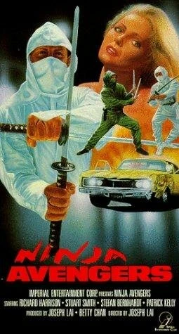 Постер Ninja Avengers