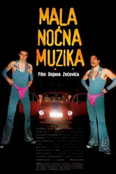 Mala nocna muzika постер