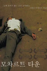 Город Моцарта 2008 постер