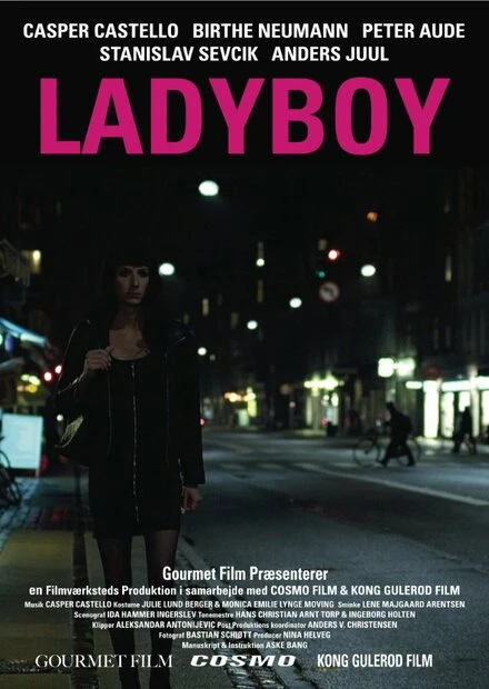 Постер Ladyboy 2011