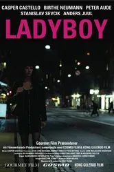 Ladyboy 2011 постер