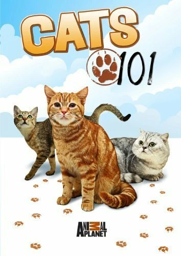 Постер Энциклопедия кошек 2008