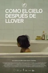 Como el cielo después de llover постер