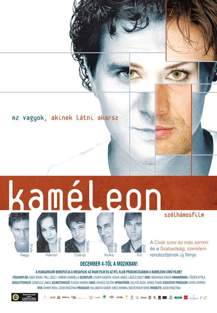 Постер Хамелеон 2008