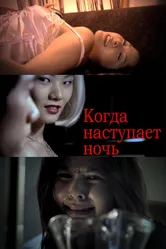 Когда наступает ночь 2009 постер