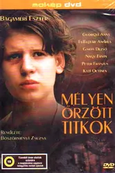 Тщательно оберегаемые секреты 2004 постер