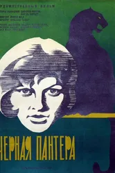 Черная пантера 1966 постер