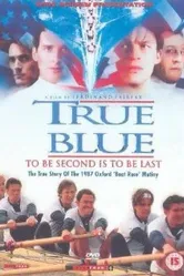 Последняя истина 1996 постер