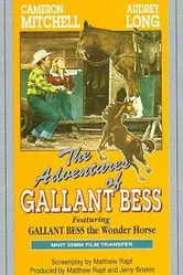 Adventures of Gallant Bess постер